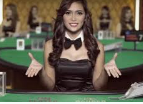 天庭娱乐3621官网版手机版